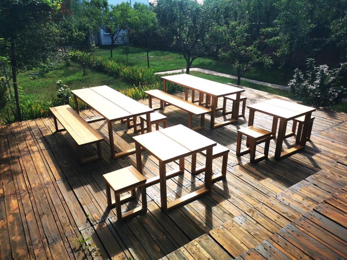 דירות באלוטשטי Biolocalia House Dobrogea מראה חיצוני תמונה