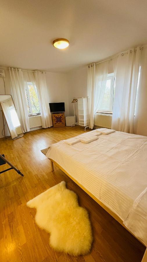 דירות באלוטשטי Biolocalia House Dobrogea מראה חיצוני תמונה
