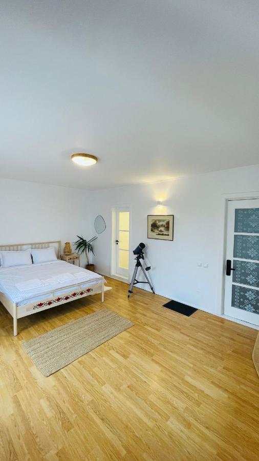 דירות באלוטשטי Biolocalia House Dobrogea מראה חיצוני תמונה