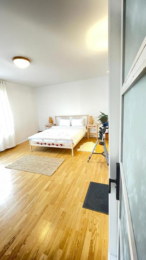 דירות באלוטשטי Biolocalia House Dobrogea מראה חיצוני תמונה